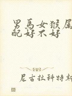 男马女猴属相婚配好不好