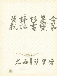 荣梓杉是今年中戏北电双第一