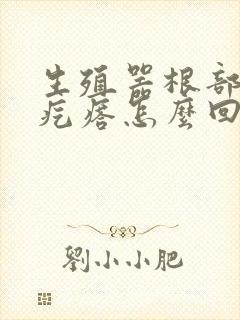 生殖器根部长硬疙瘩怎么回事