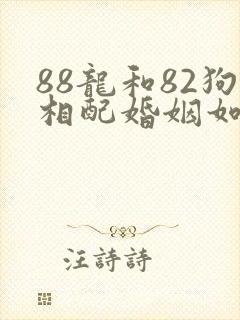 88龙和82狗相配婚姻如何
