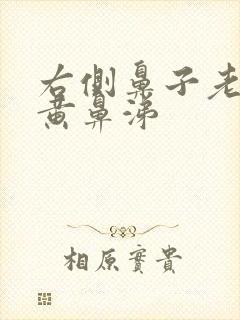 右侧鼻子老是有黄鼻涕封面