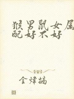 猴男鼠女属相婚配好不好