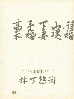 高手下山,从跟未婚妻退婚开始封面