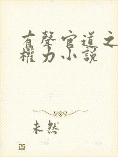 有声官道之绝对权力小说封面