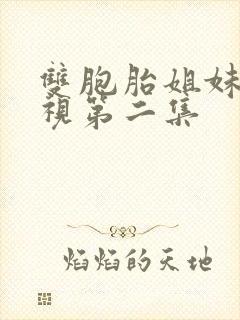 双胞胎姐妹的蔑视第二集