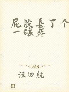 屁股长了个疙瘩一碰疼