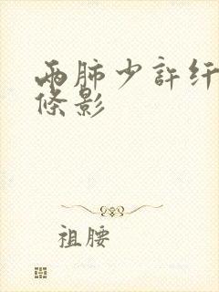 两肺少许纤维索条影封面