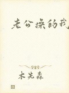 老公操的我好爽封面