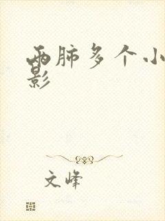 两肺多个小结节影