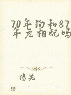 70年狗和87年兔相配吗封面