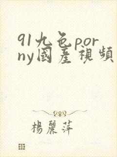 91九色porny国产视频封面
