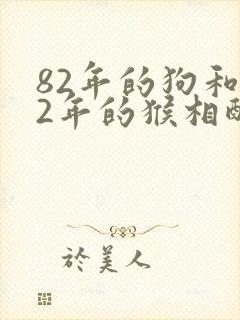 82年的狗和92年的猴相配怎么样封面
