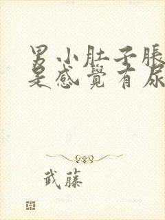 男小肚子胀疼老是感觉有尿封面