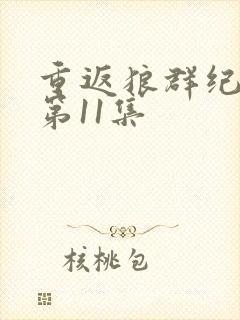 重返狼群纪录片第11集