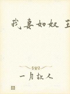 我妻如奴 王琳封面