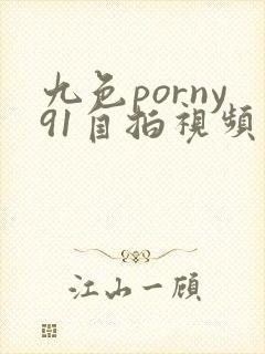 九色porny91自拍视频封面