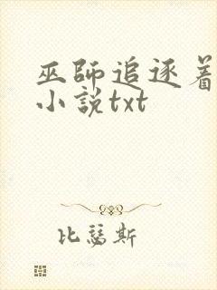 巫师追逐着真理小说txt