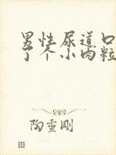 男性尿道口内长了个小肉粒