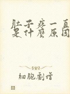 肚子疼一直呕吐是什么原因引起的封面