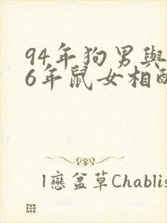 94年狗男与96年鼠女相配吗婚姻如何