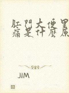 肛门大便里面疼痛是什么原因引起的