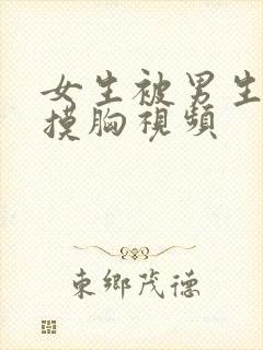 女生被男生亲吻摸胸视频