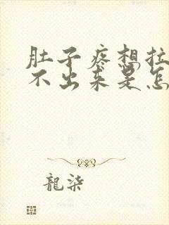 肚子疼想拉屎拉不出来是怎么回事