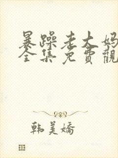 暴躁老大妈高清全集免费观看封面