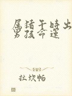 属猪午时出生的男孩命运