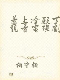 惹上冷殿下免费观看电视剧全集