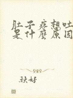 肚子疼想吐头晕是什么原因