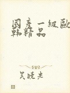 国产一级欧美日韩精品