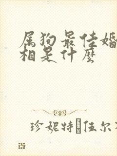 属狗最佳婚配属相是什么