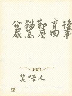 公猫节育后还乱尿怎么回事