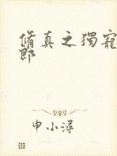 修真之独宠小夫郎