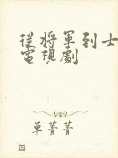 从将军到士兵 电视剧