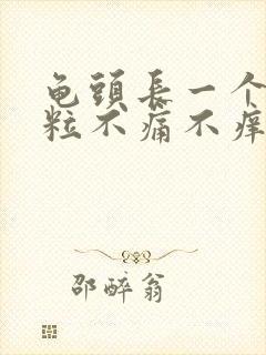 龟头长一个小肉粒不痛不痒封面