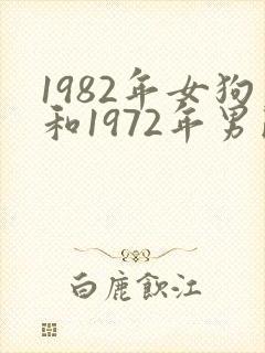 1982年女狗和1972年男鼠婚姻如何