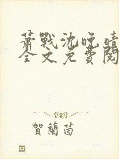 萧战沈晚晴小说全文免费阅读封面