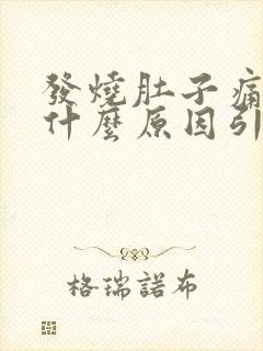 发烧肚子痛想吐什么原因引起的