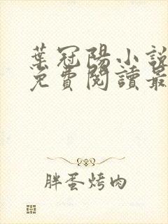 叶冠阳小说全文免费阅读最新章节