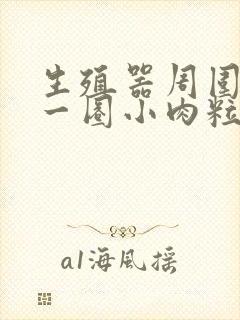 生殖器周围长了一圈小肉粒