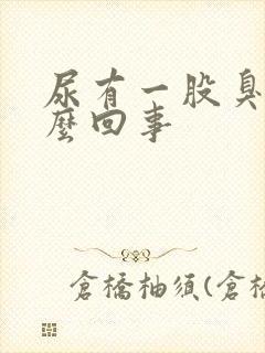 尿有一股臭味怎么回事