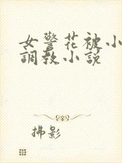 女警花被小混混调教小说封面