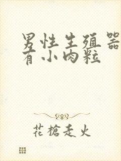 男性生殖器口旁有小肉粒