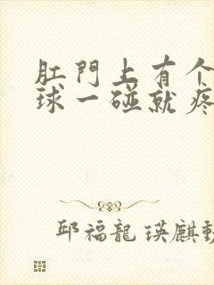 肛门上有个小肉球一碰就疼