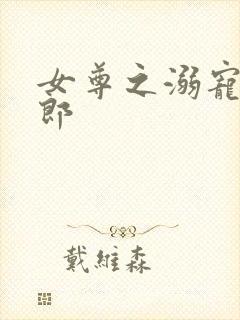 女尊之溺宠怯夫郎