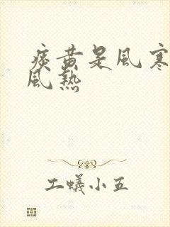 痰黄是风寒还是风热