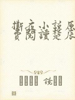 撕夜小说原著免费阅读楚辰安