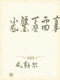 小腹下面有下坠感怎么回事